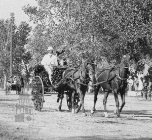 Charles and Evline Collins in the 1899 Colorado Springs Flower Parade.