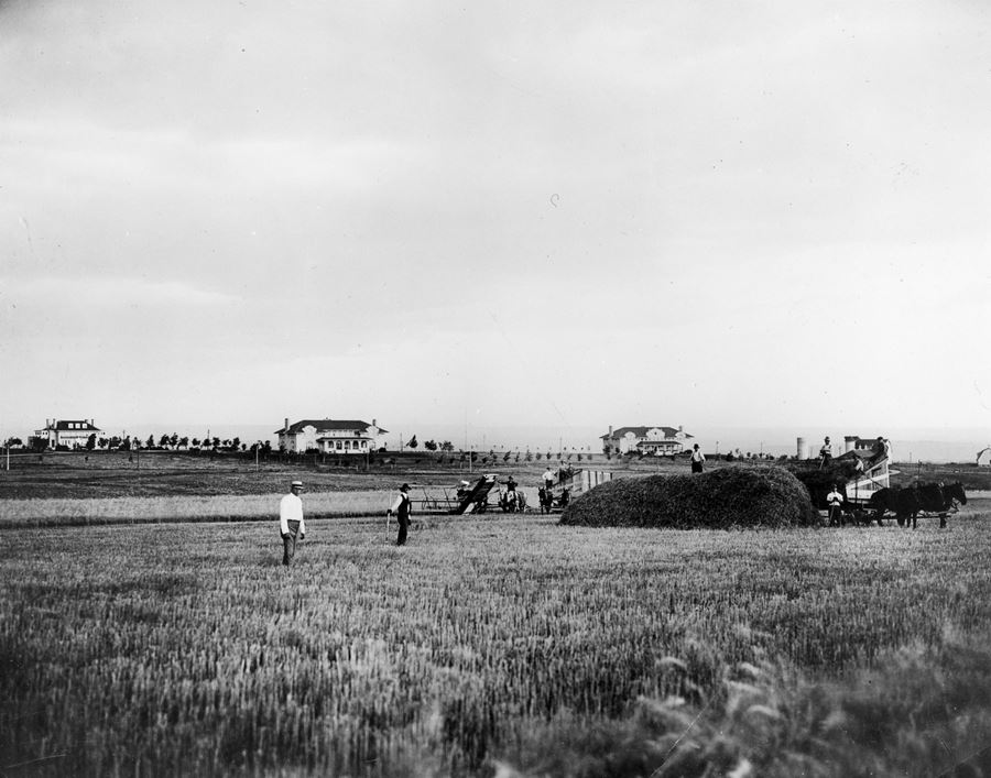 A 1920 black and white historical photo of the Myron Stratton Farm in Colorado Springs, Colorado with two buildings way off in the background with two men in the foreground that is a farming field.d