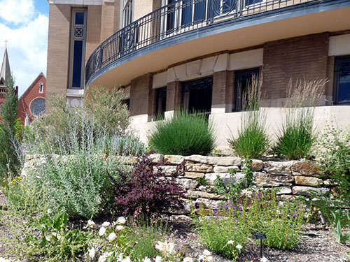 PPLD – Penrose Library: Columbine A