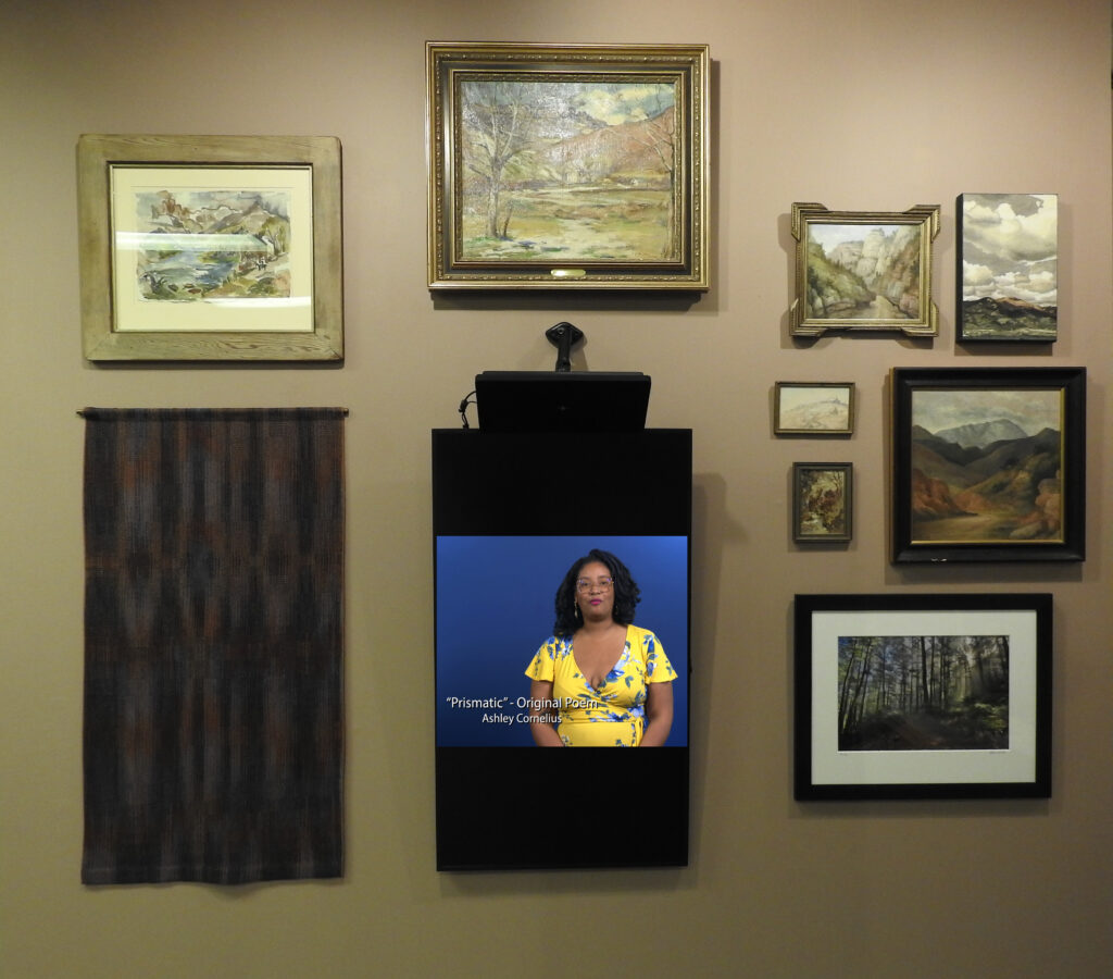 Nine artist works and central screen, artist works being of various sizes, subjects and media